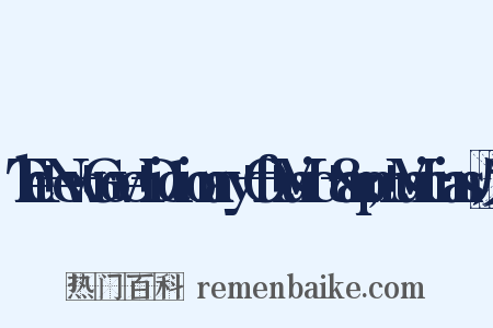 The+New+Grove+Dictionary+Of+Music+&amp;+Musicians反义词是什么意思的图片